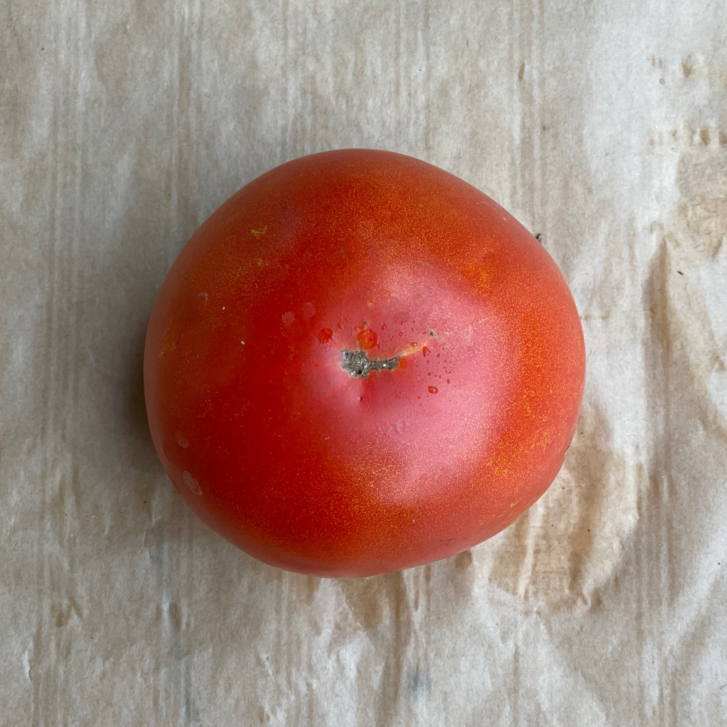 Tomate grosse 1kg - 1kg