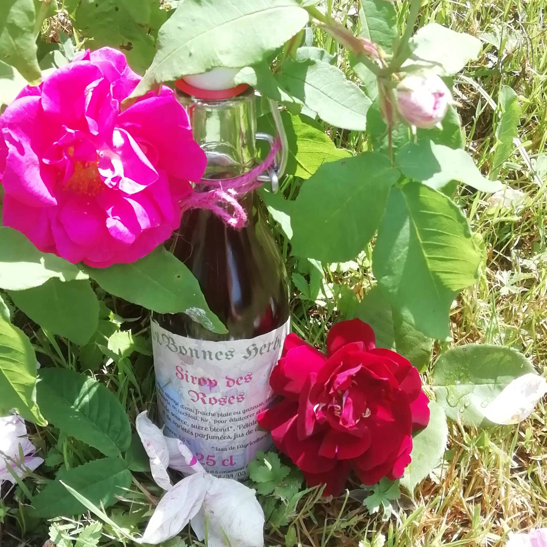Sirop des Roses - 25cl