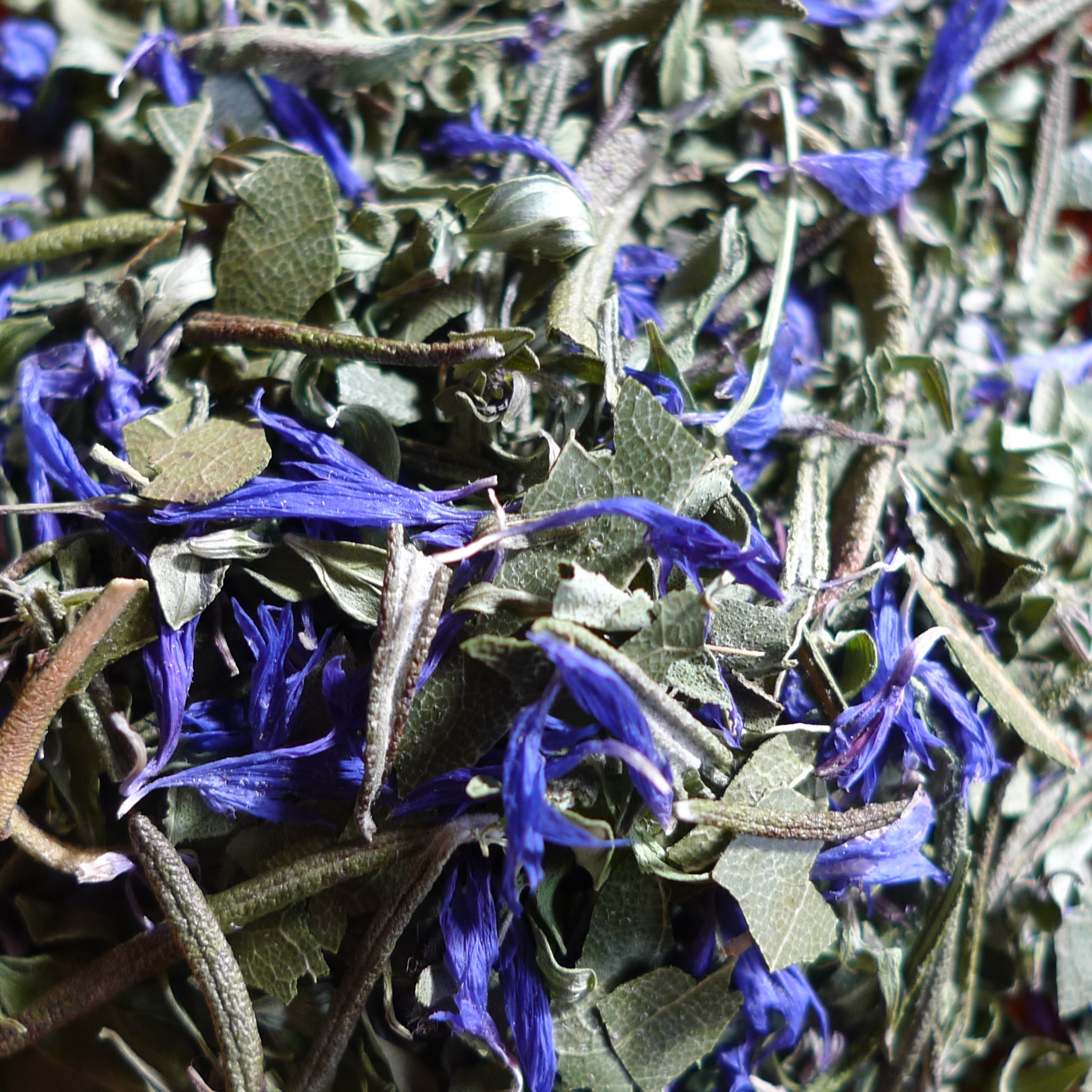 Herbes de l'Avant-Pays - 8g