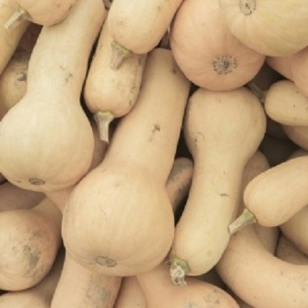 Courge Butternut - 1,2kg
