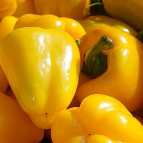Poivron carré jaune - 500g