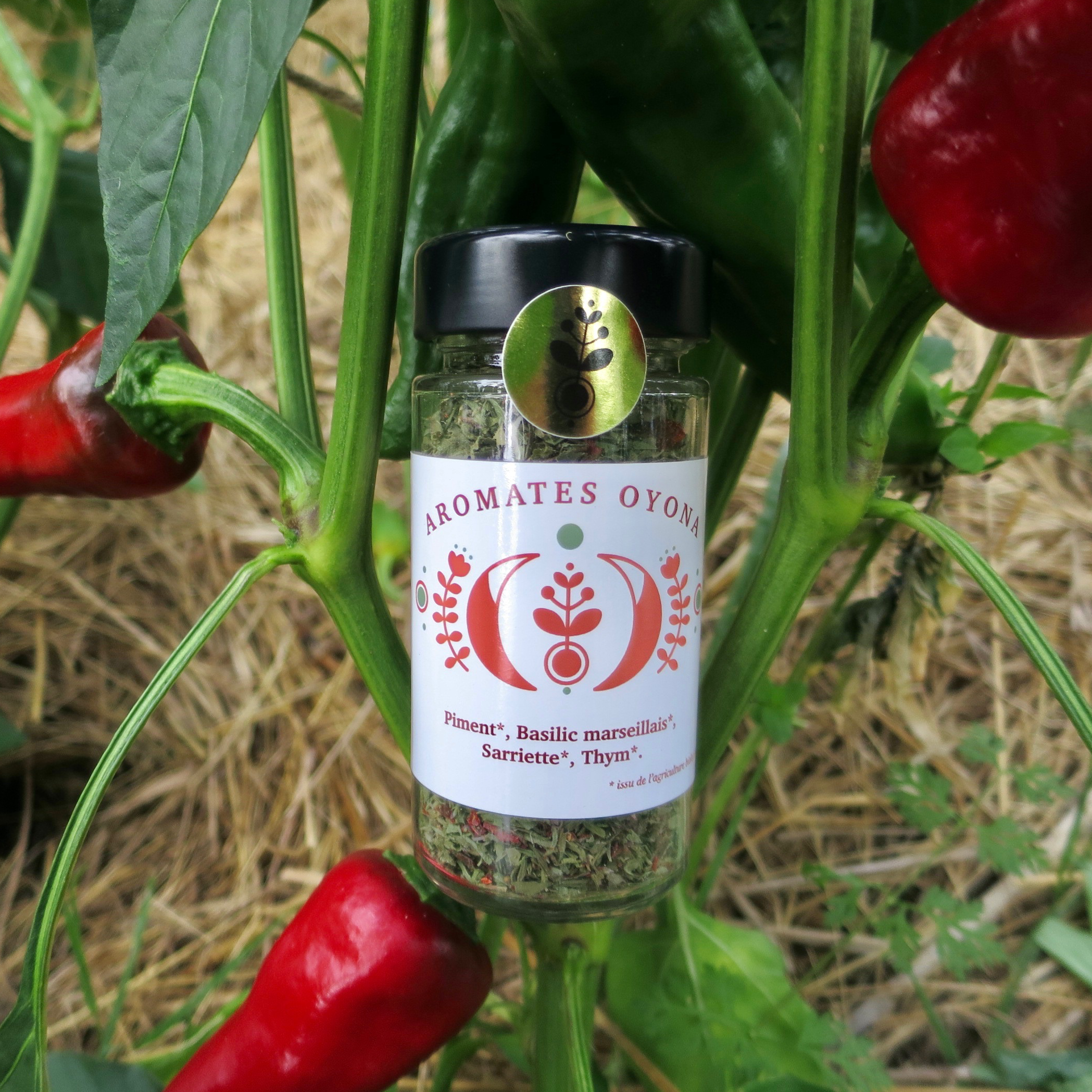 ROUGE • Piquant & Intense - 15g