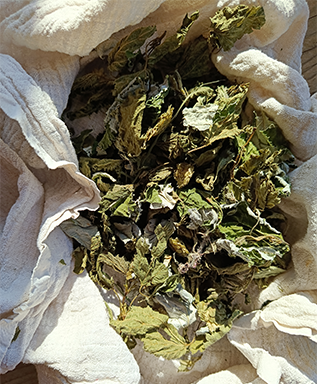 Tisane Allaitement Boisé - 30g