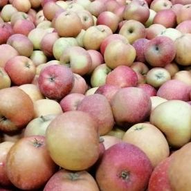 POMME DALINSWEET