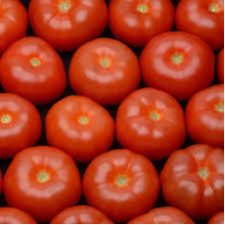 Tomate Ronde - 600g