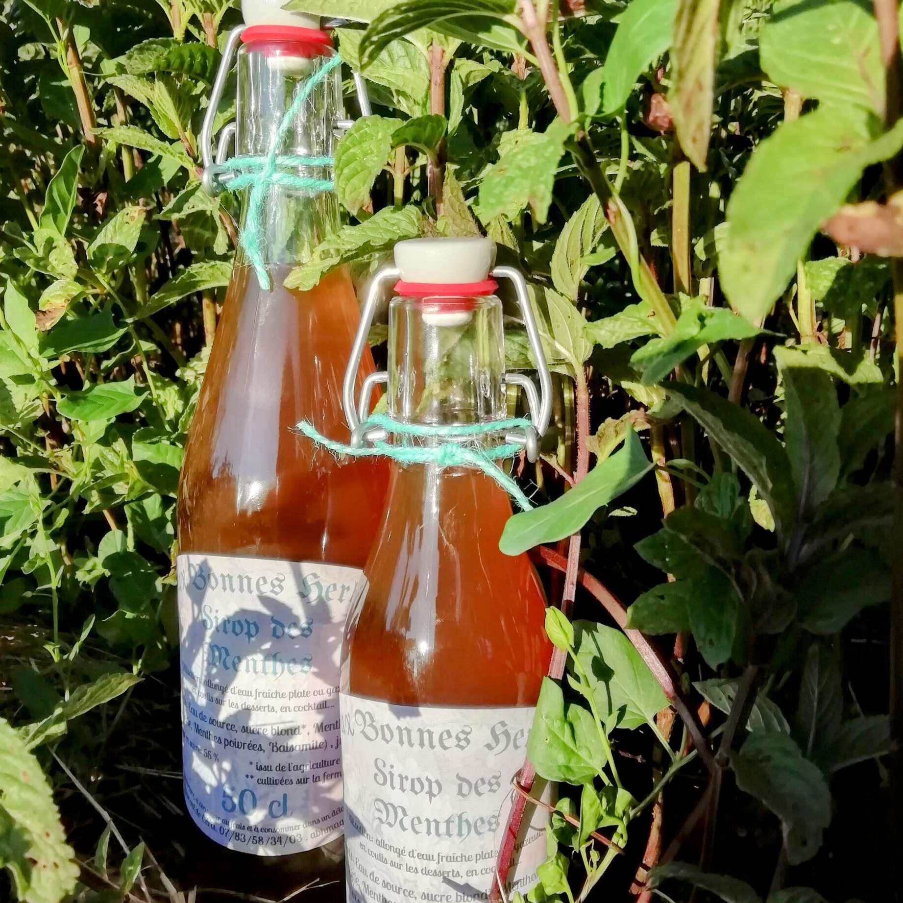 Sirop des menthes
