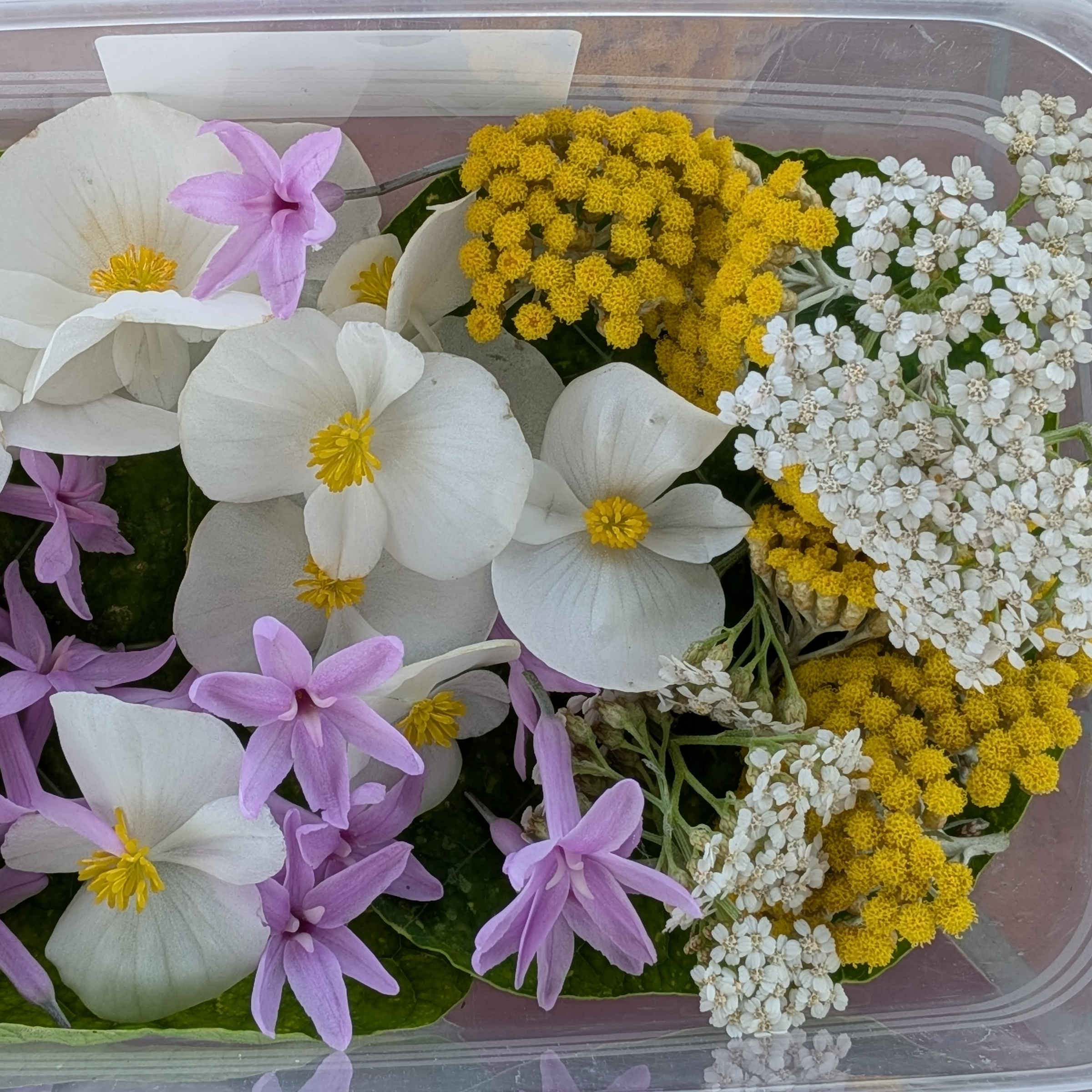 Mélange de fleurs pour plats salés