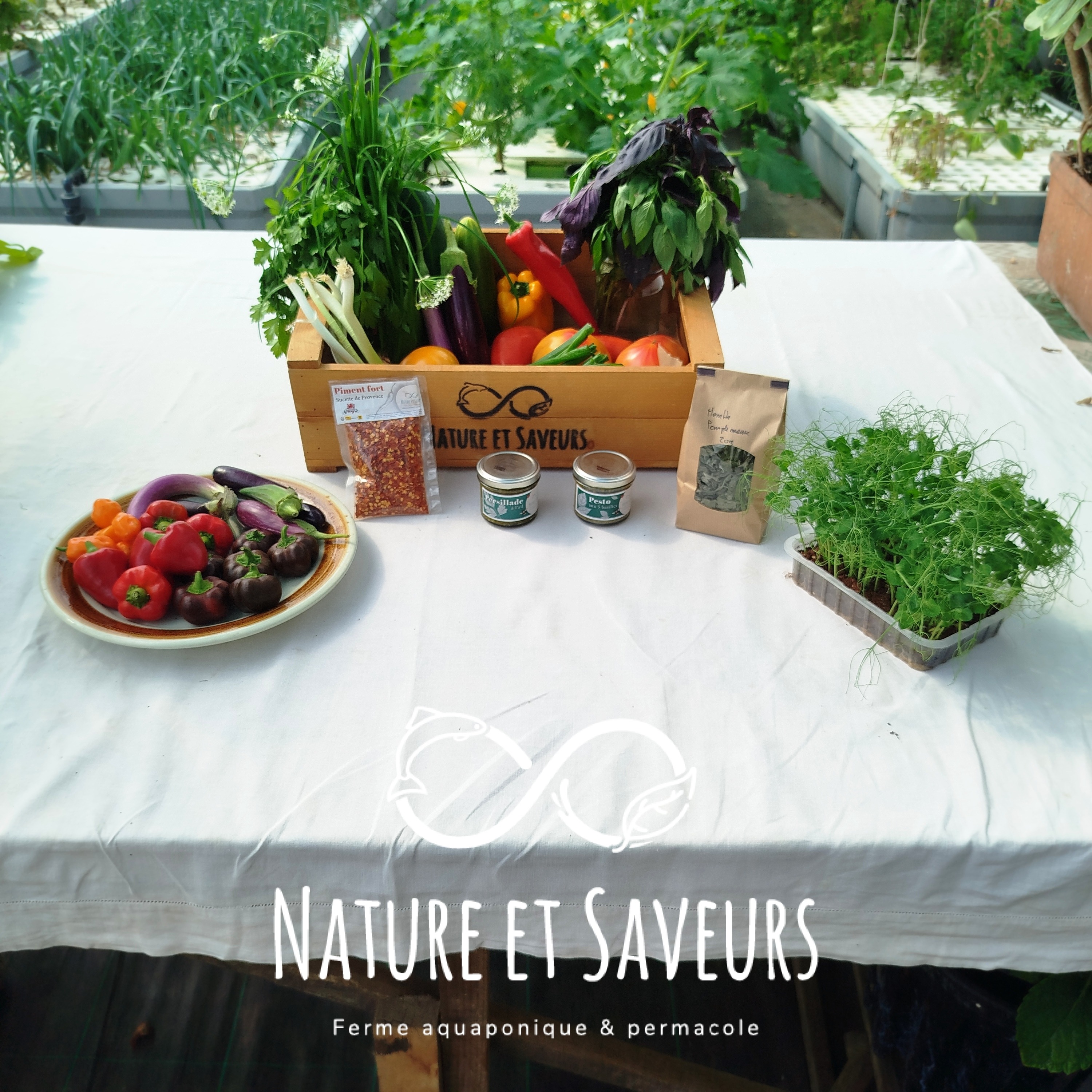 Coffret 100% VEGETAL - 3300g