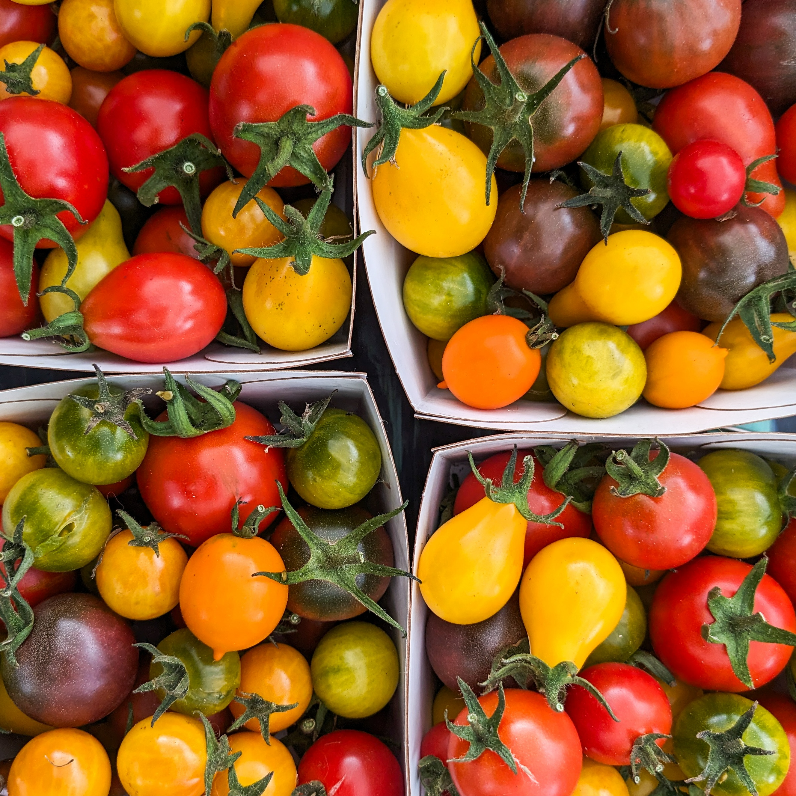 Tomates cerise (250g)