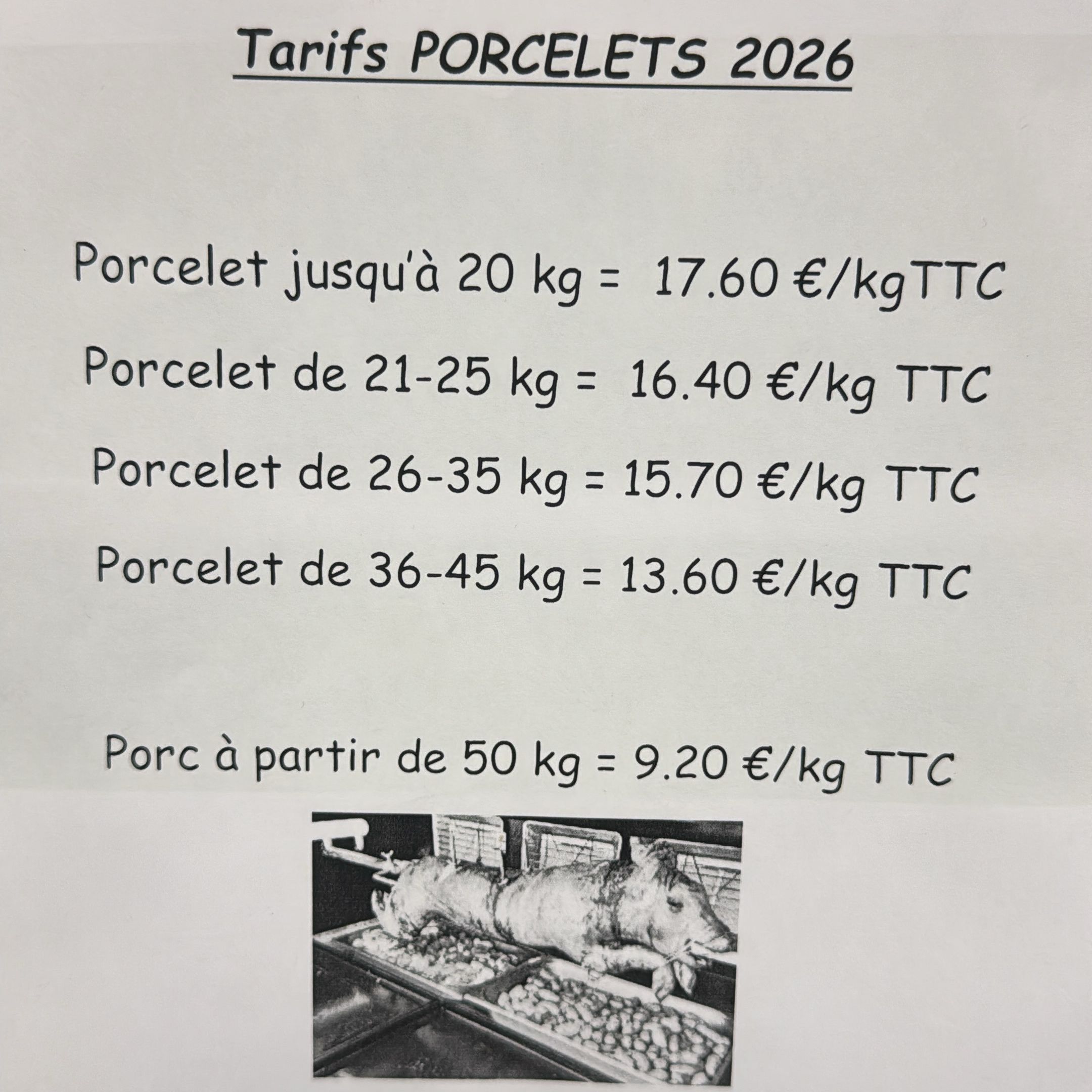 Porcelet entier inférieur à 20 kg - 18kg