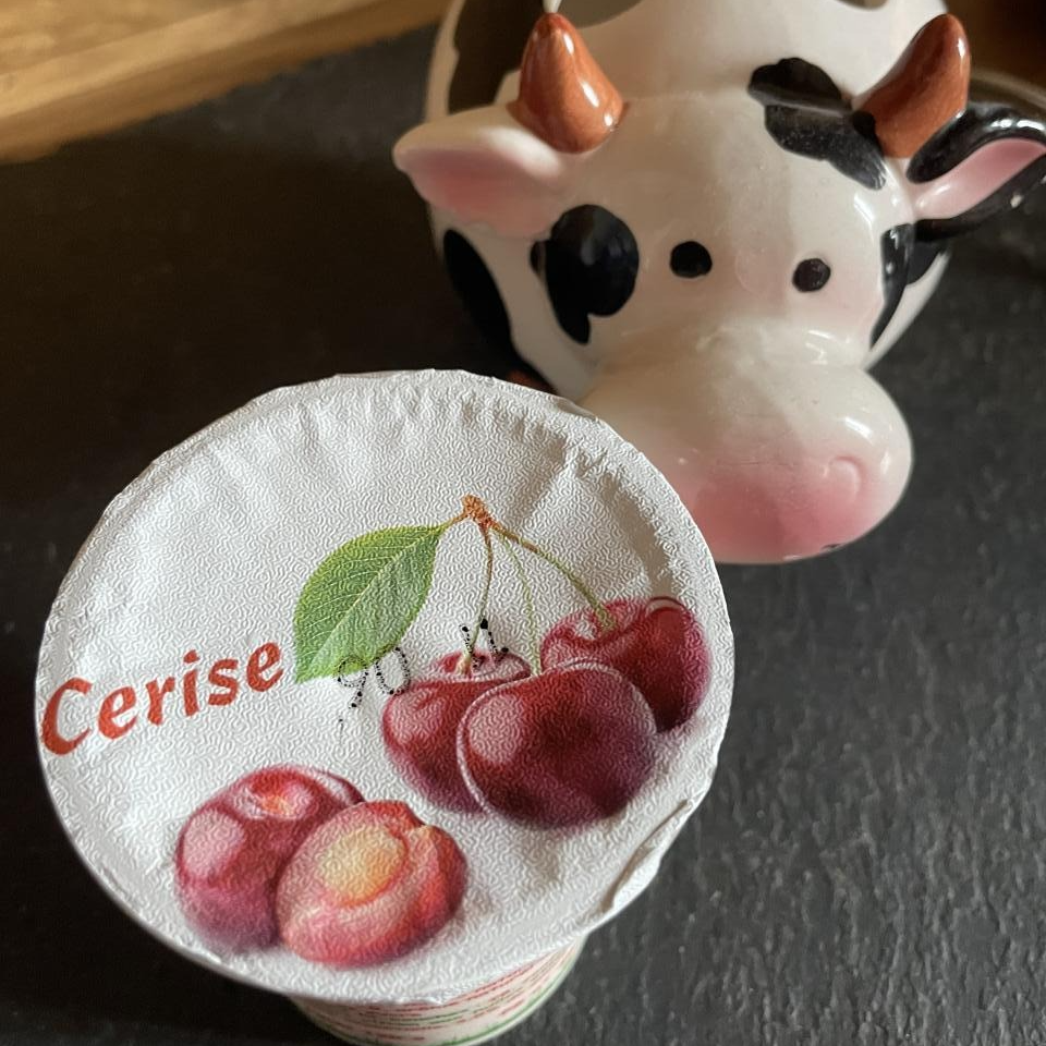 YAOURT AROMATISE CERISE - 12cl