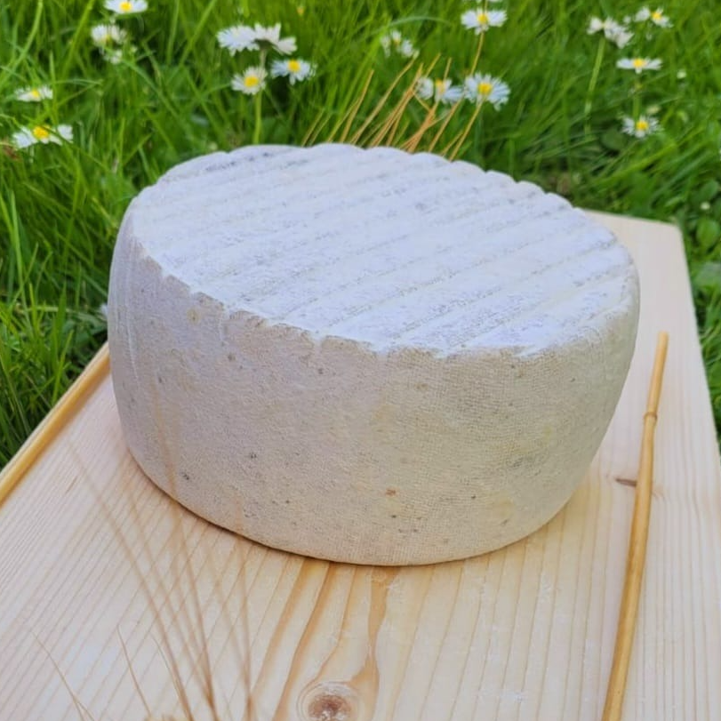 Tomme de chèvre