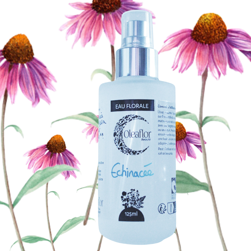 Hydrolat d'Echinacée - 125ml
