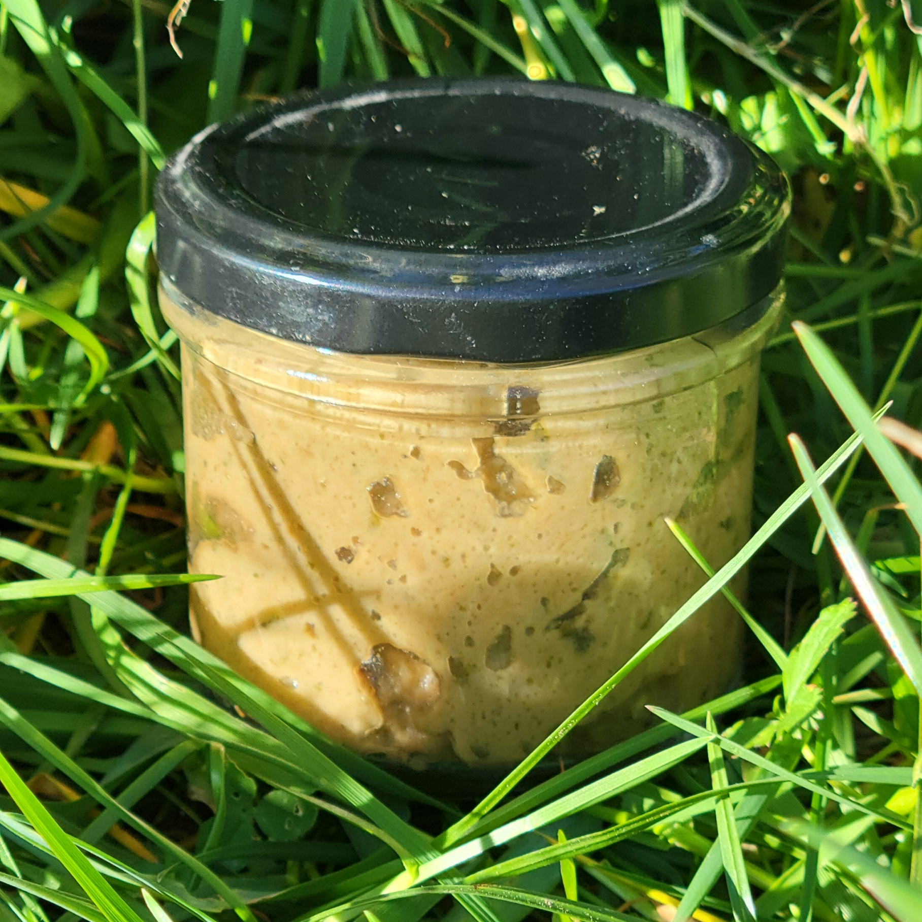 Tartinade de pleurotes
