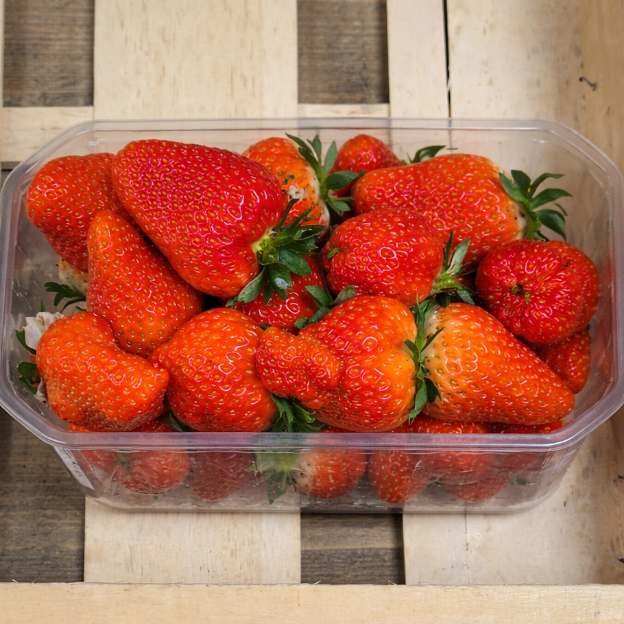FRAISES RONDES - 500g