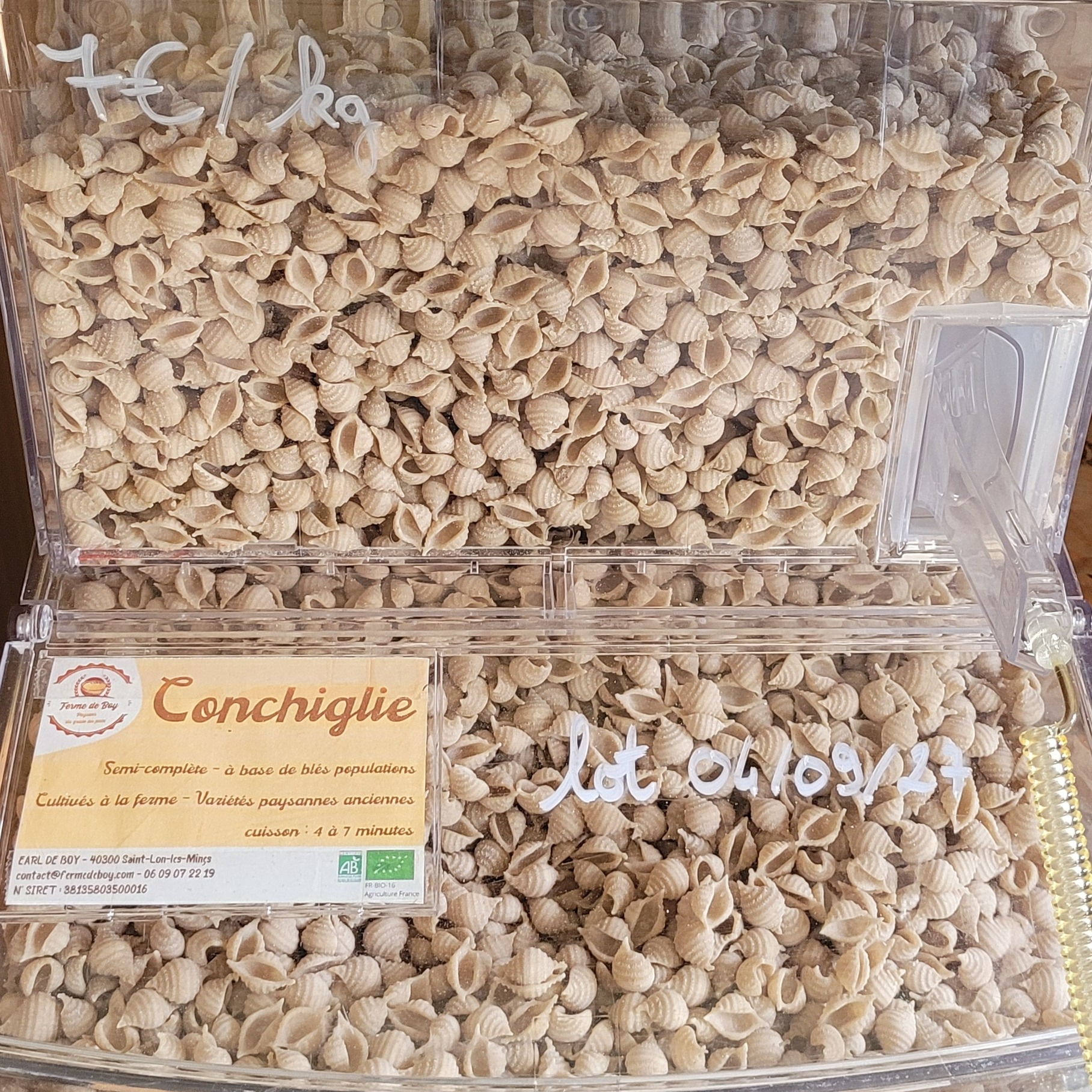 Conchiglie blés populations- vrac (lot : 04-09-27)