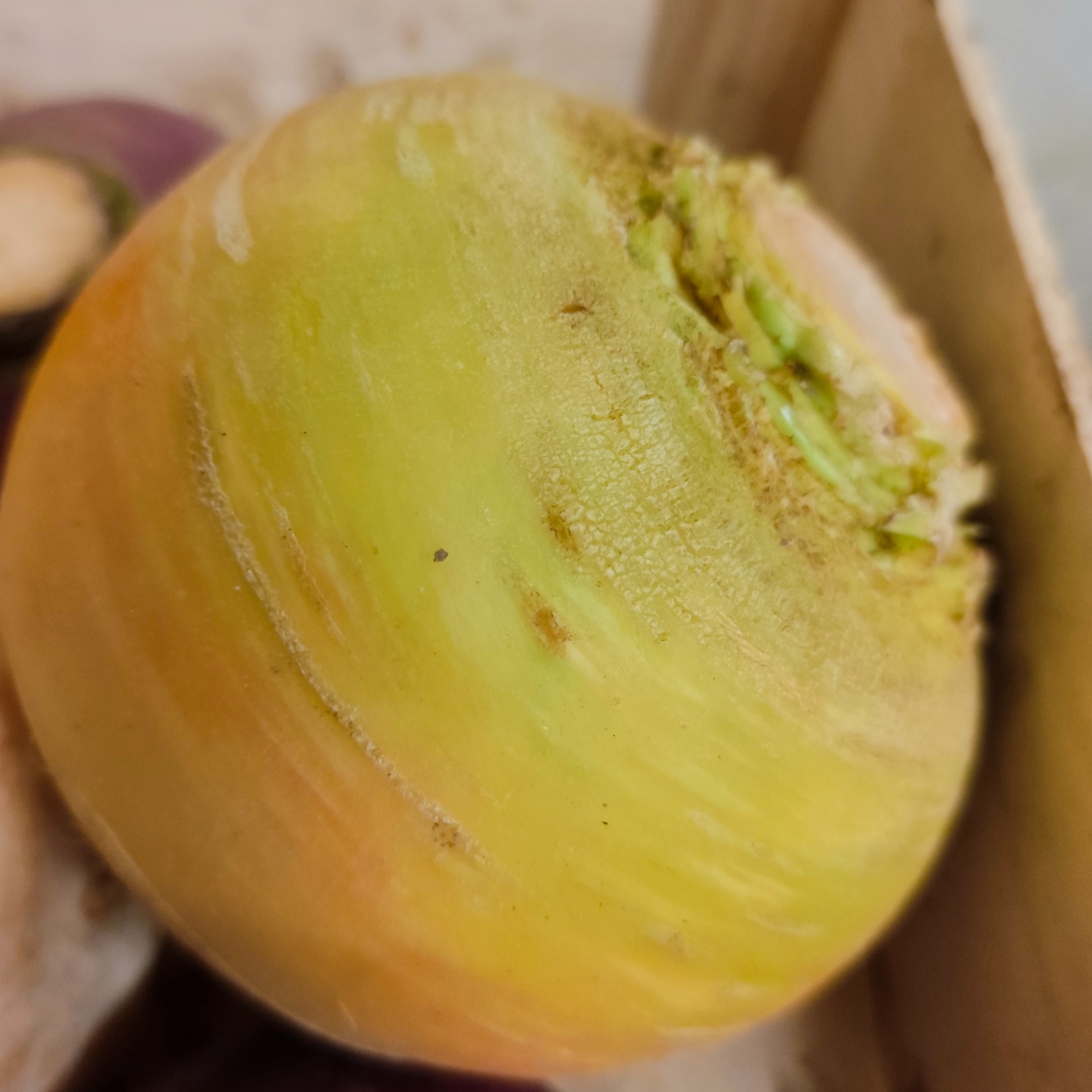 Navet boule d'or - 1kg