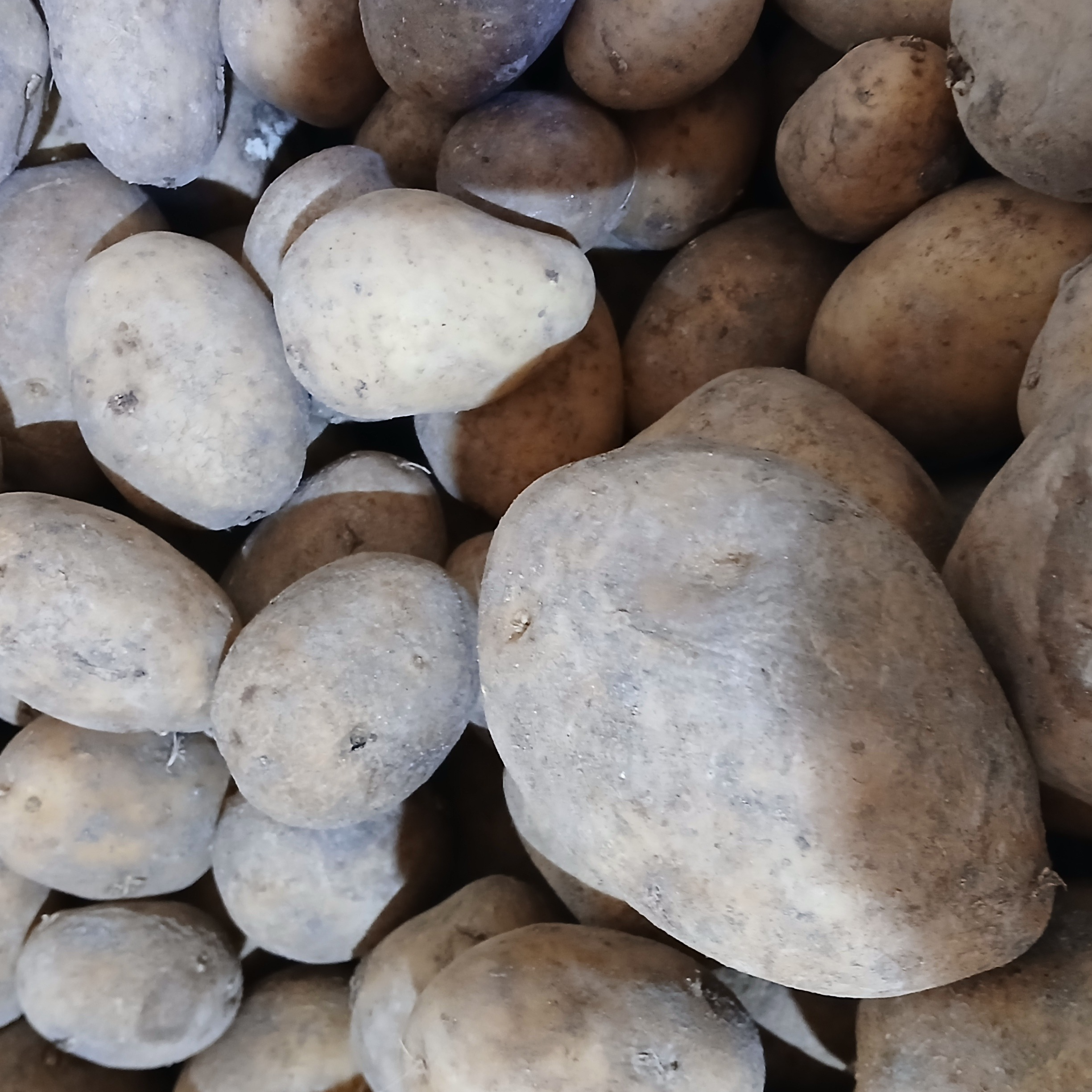 Pomme De Terre Vrac - everest