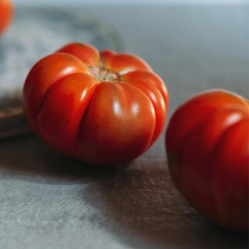 TOMATE Marmande Bio