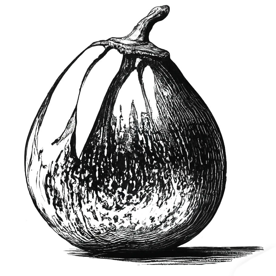 Aubergines