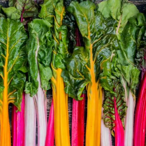 Blette Trois Couleurs