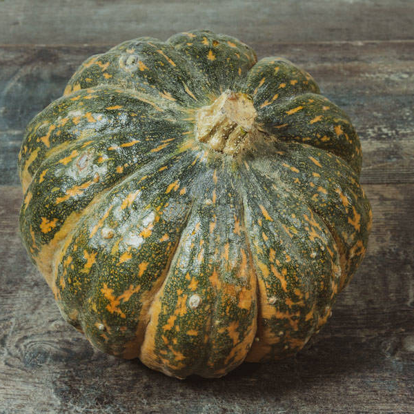 Courge Shiatsu (pièce) - 1,8kg
