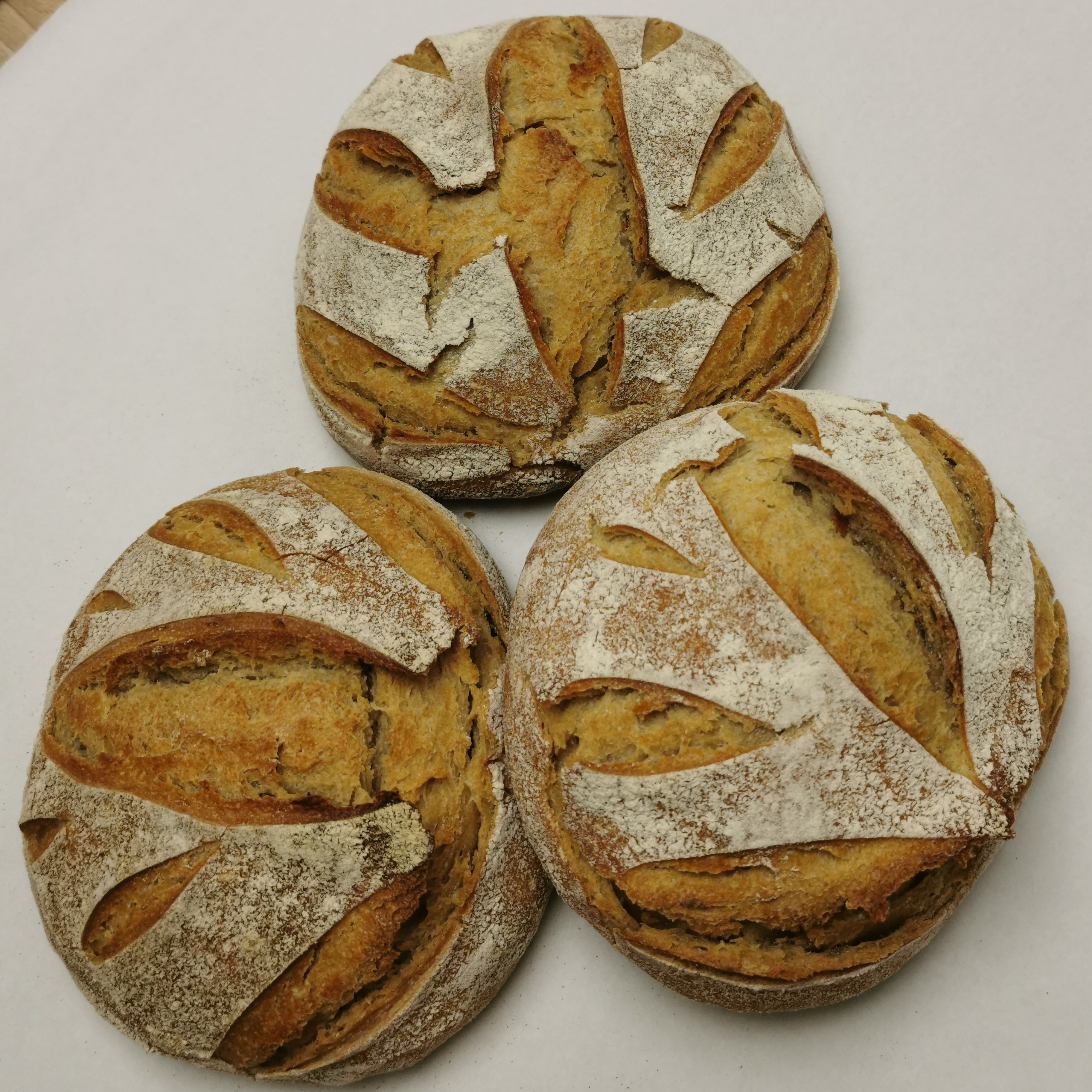 Blés anciens - 1kg - 1kg