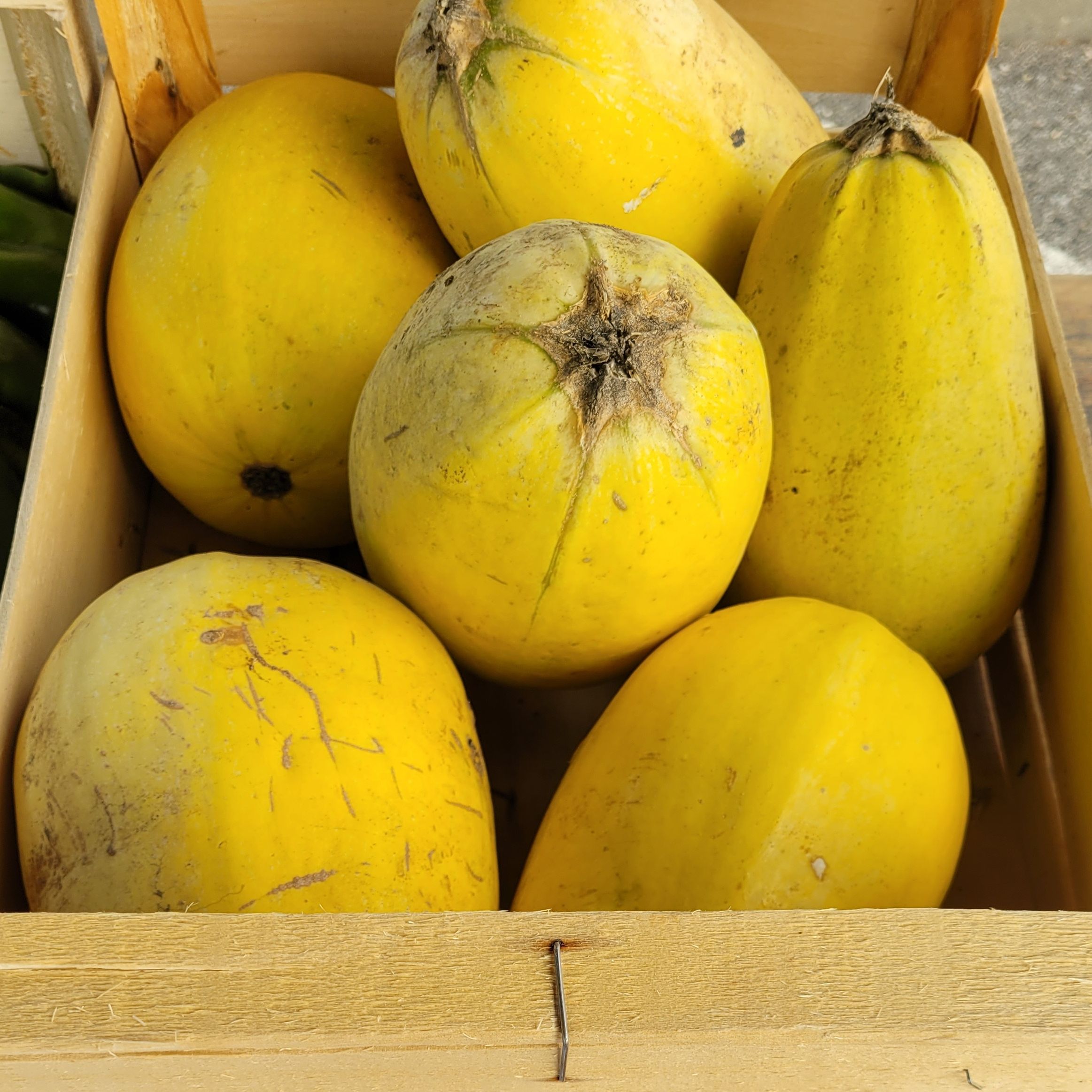 COURGE SPAGHETTI