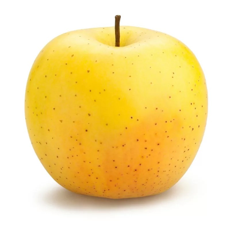 Pomme 🍏 GOLDEN bio (1kg)