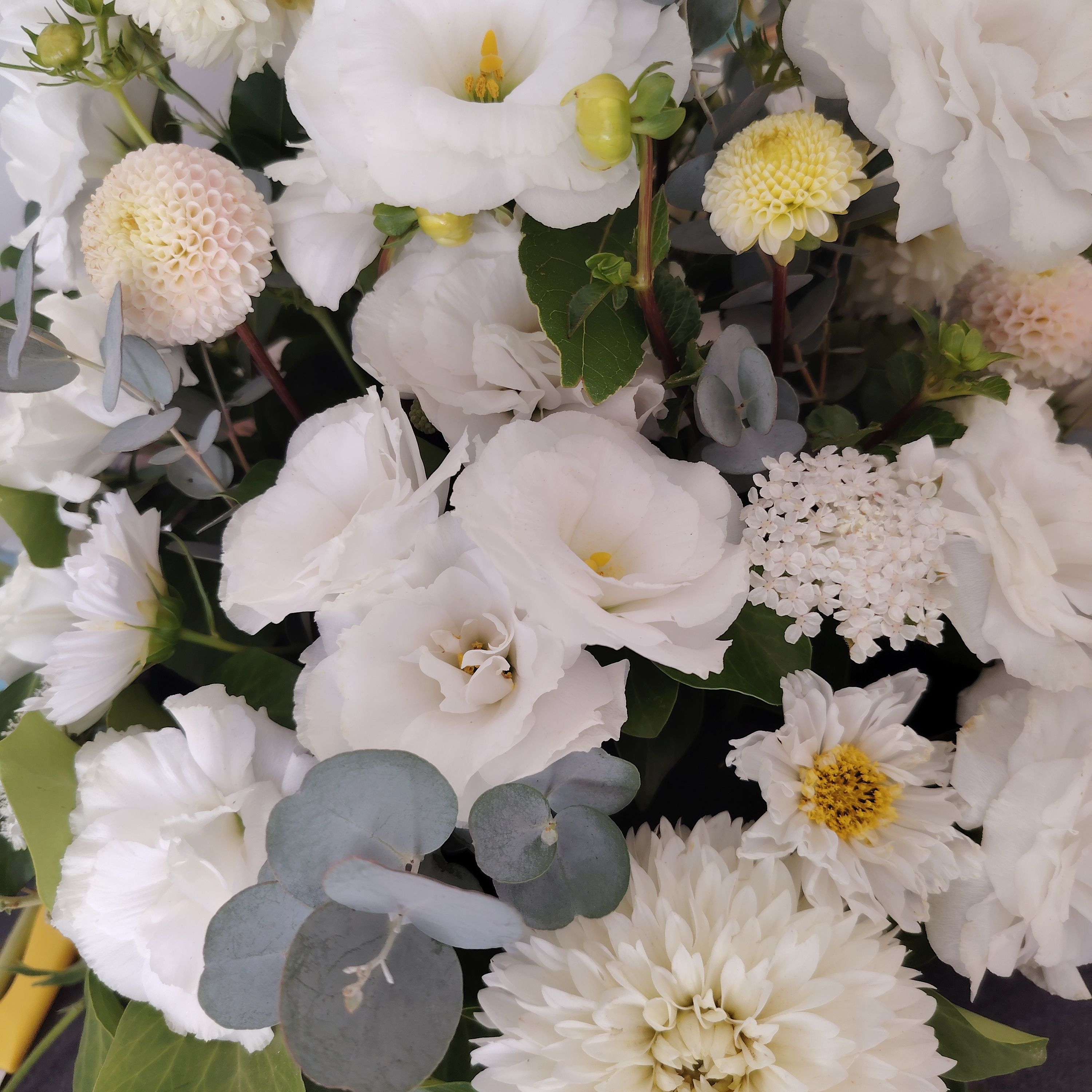 Abonnement fleurs du souvenir 8 fleurissements annuels