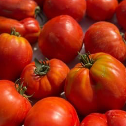 Tomate ancienne mixe - 1kg