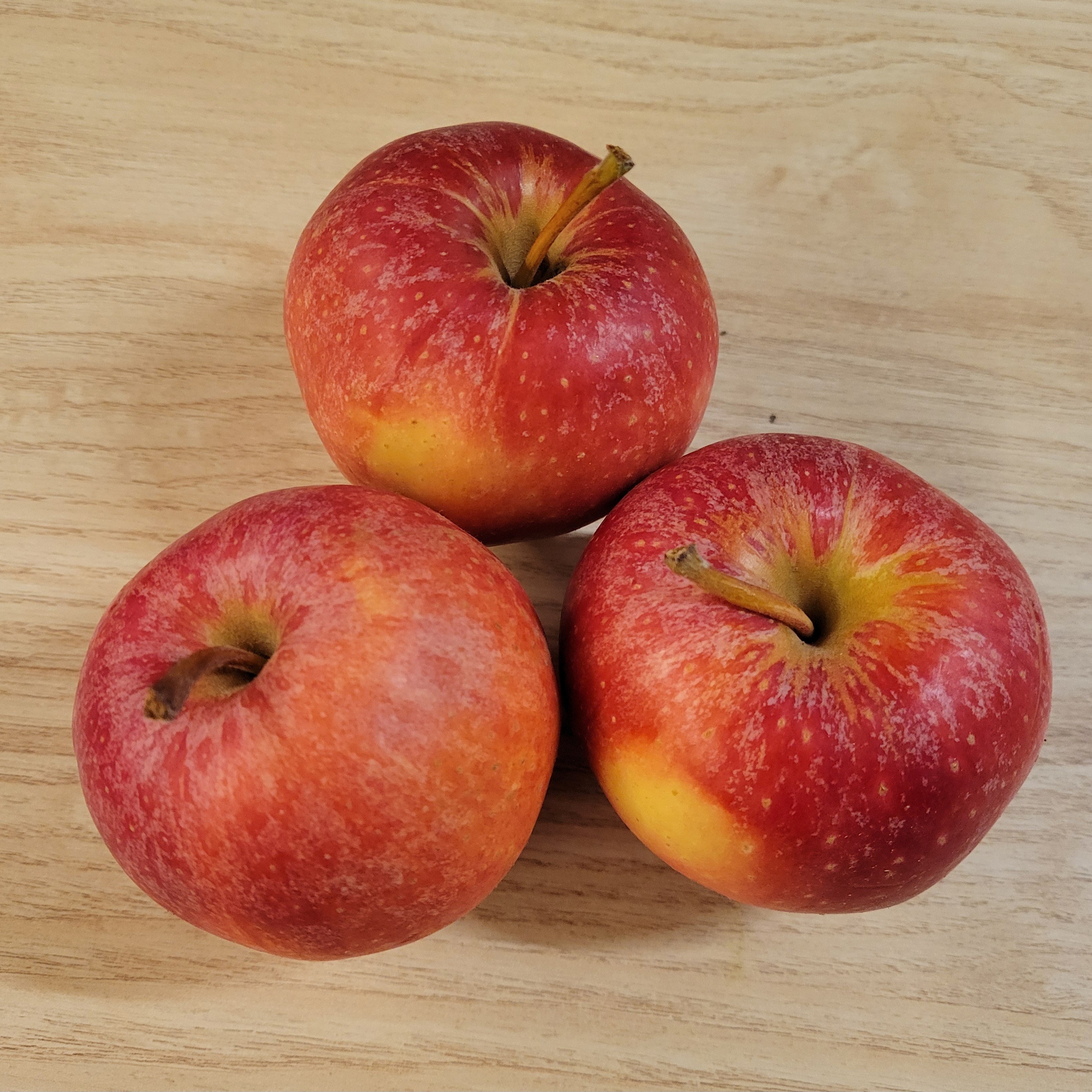 Pomme Gala