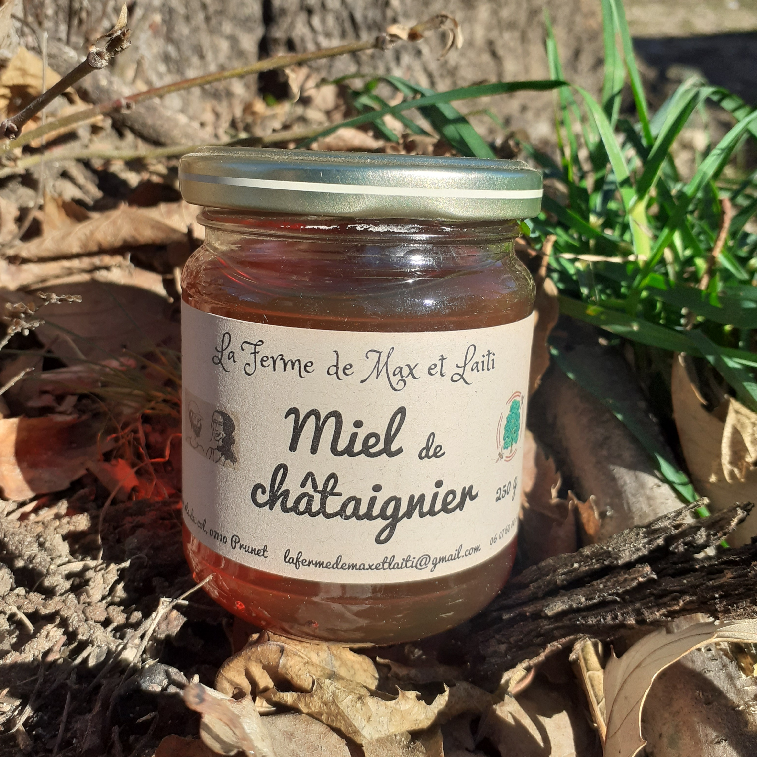 Miel de Châtaignier