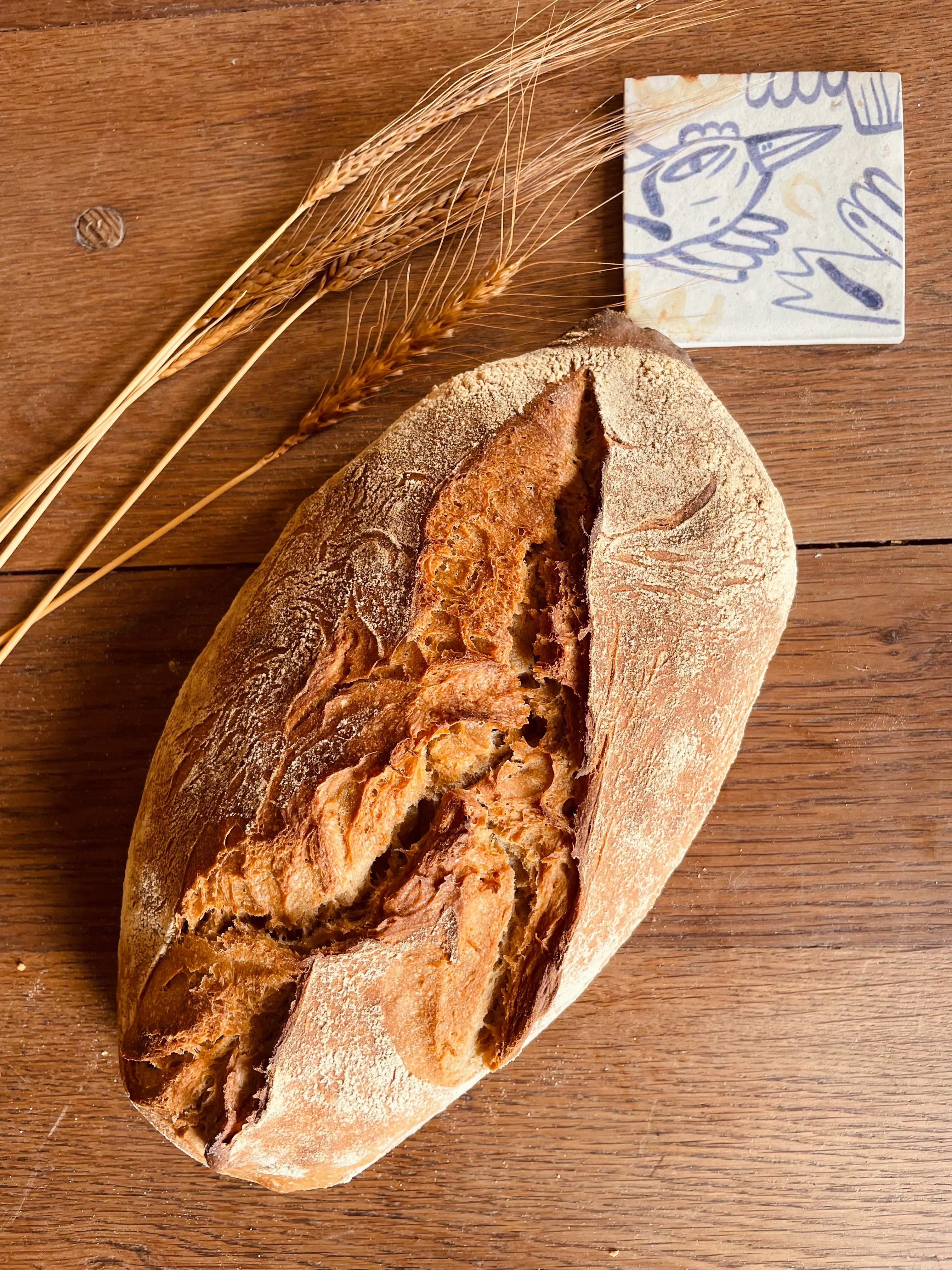 PAIN NATURE 1 Kg - 1kg