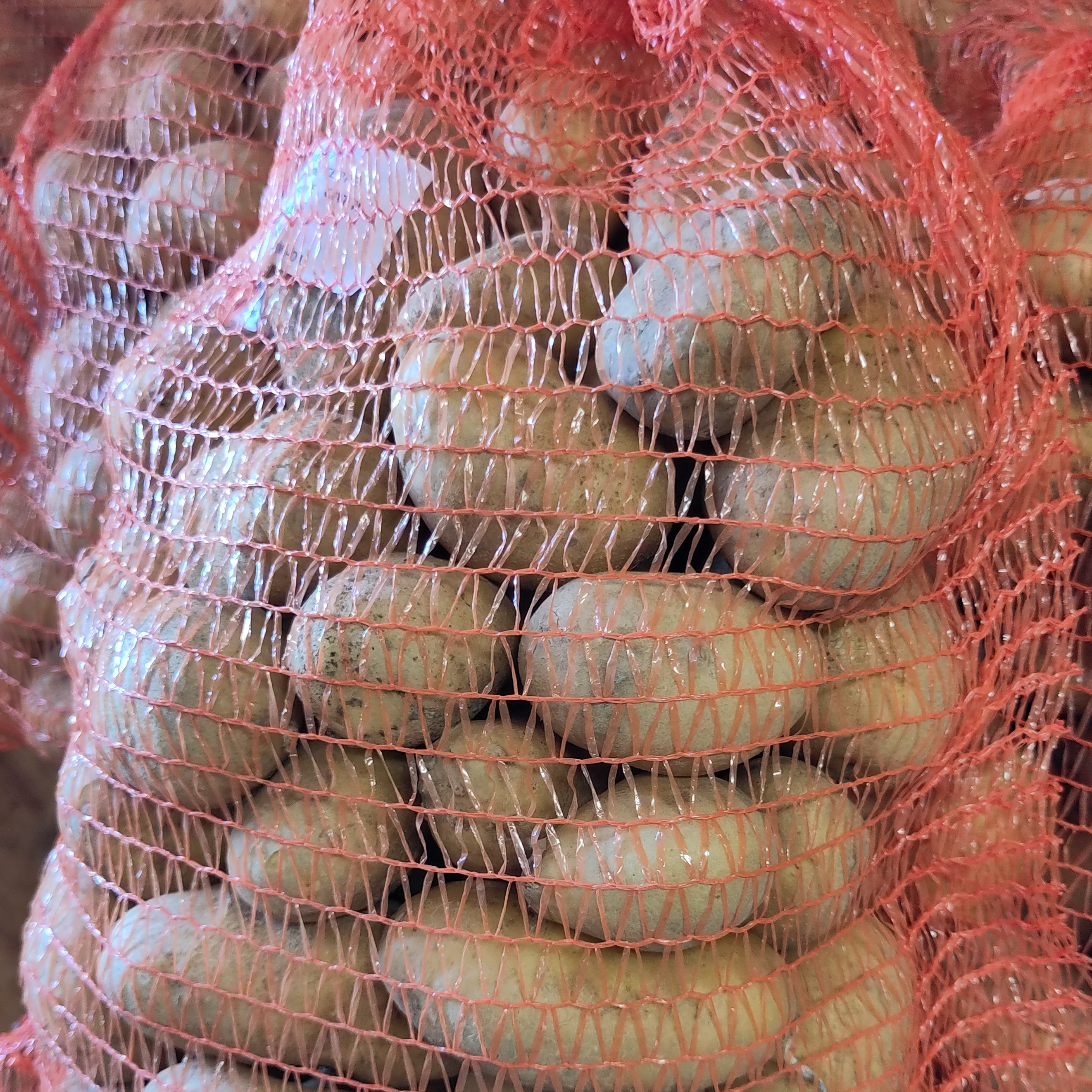 PDT Nicola 5Kg BIO chair ferme