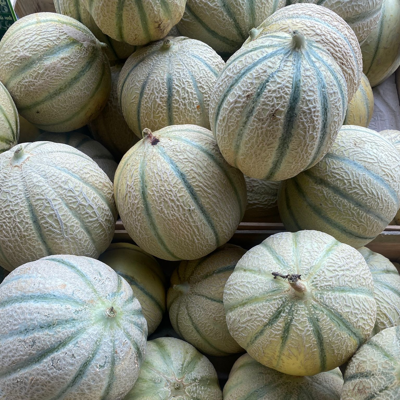 Melon Charentais (moyen) 1 pièce