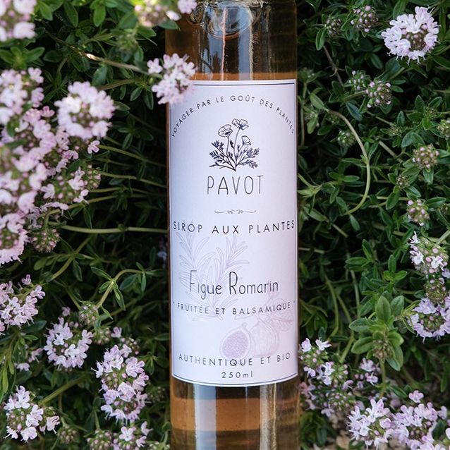 Sirop figue romarin