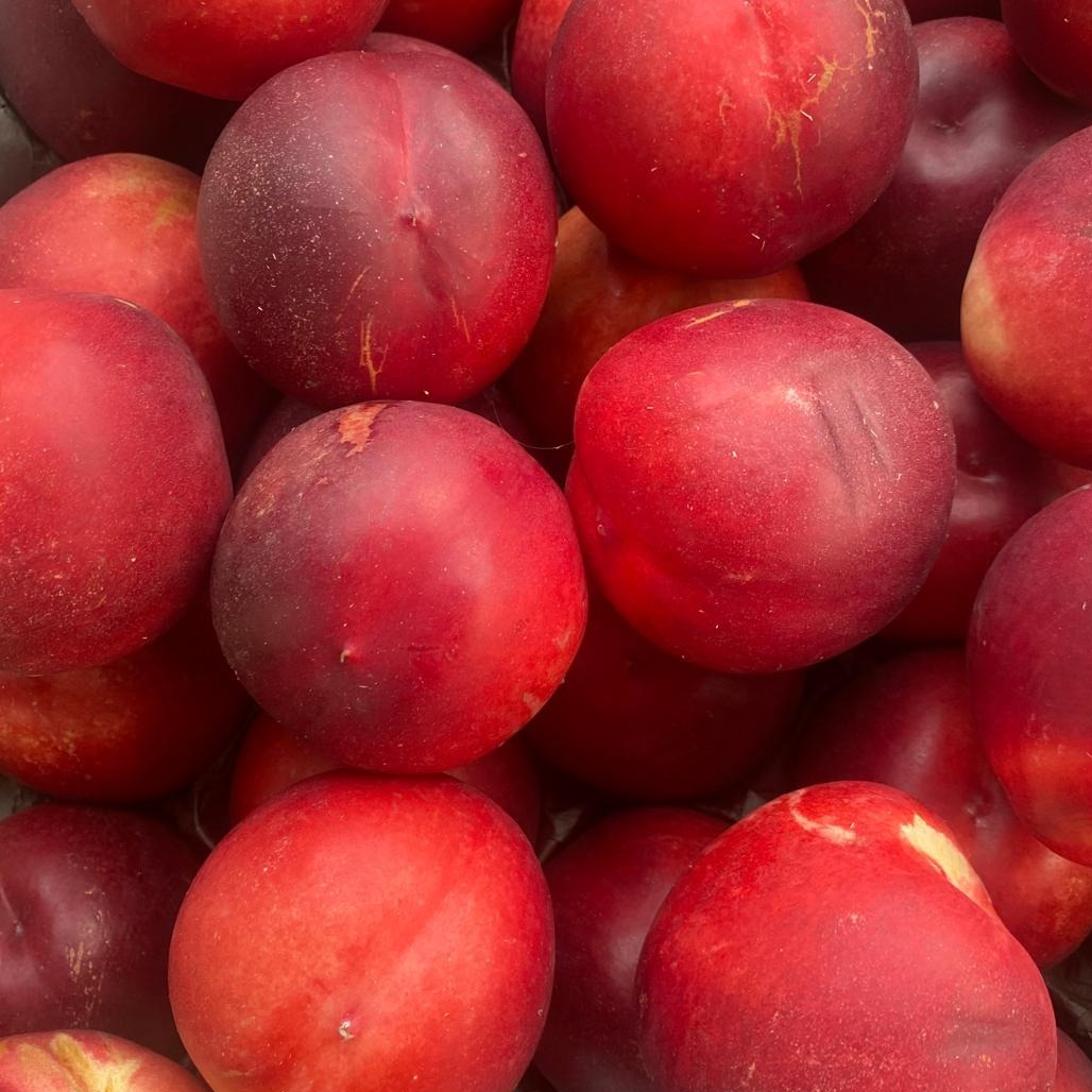 Nectarine blanche cal. A - 500g