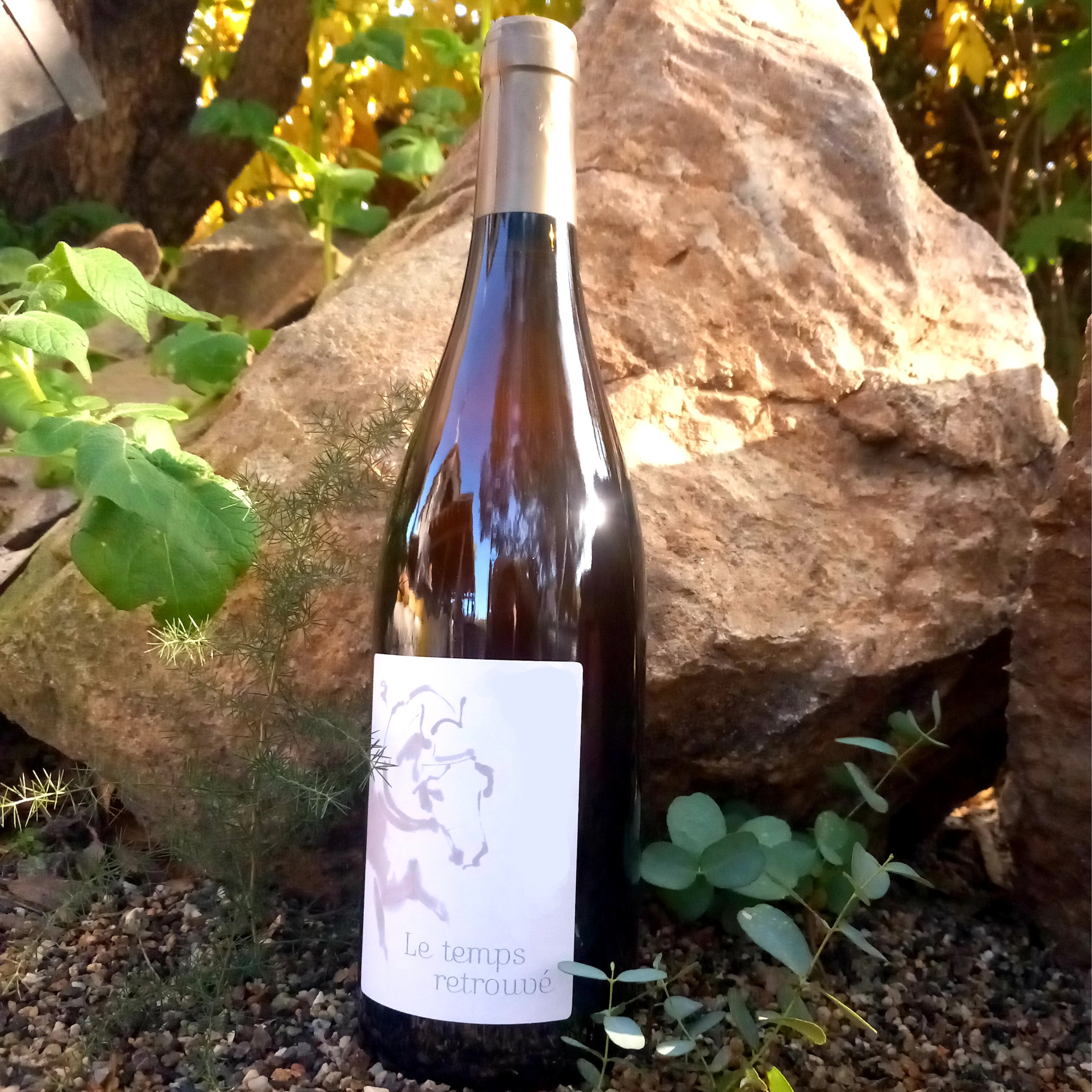 Macabeu Millésime 2023