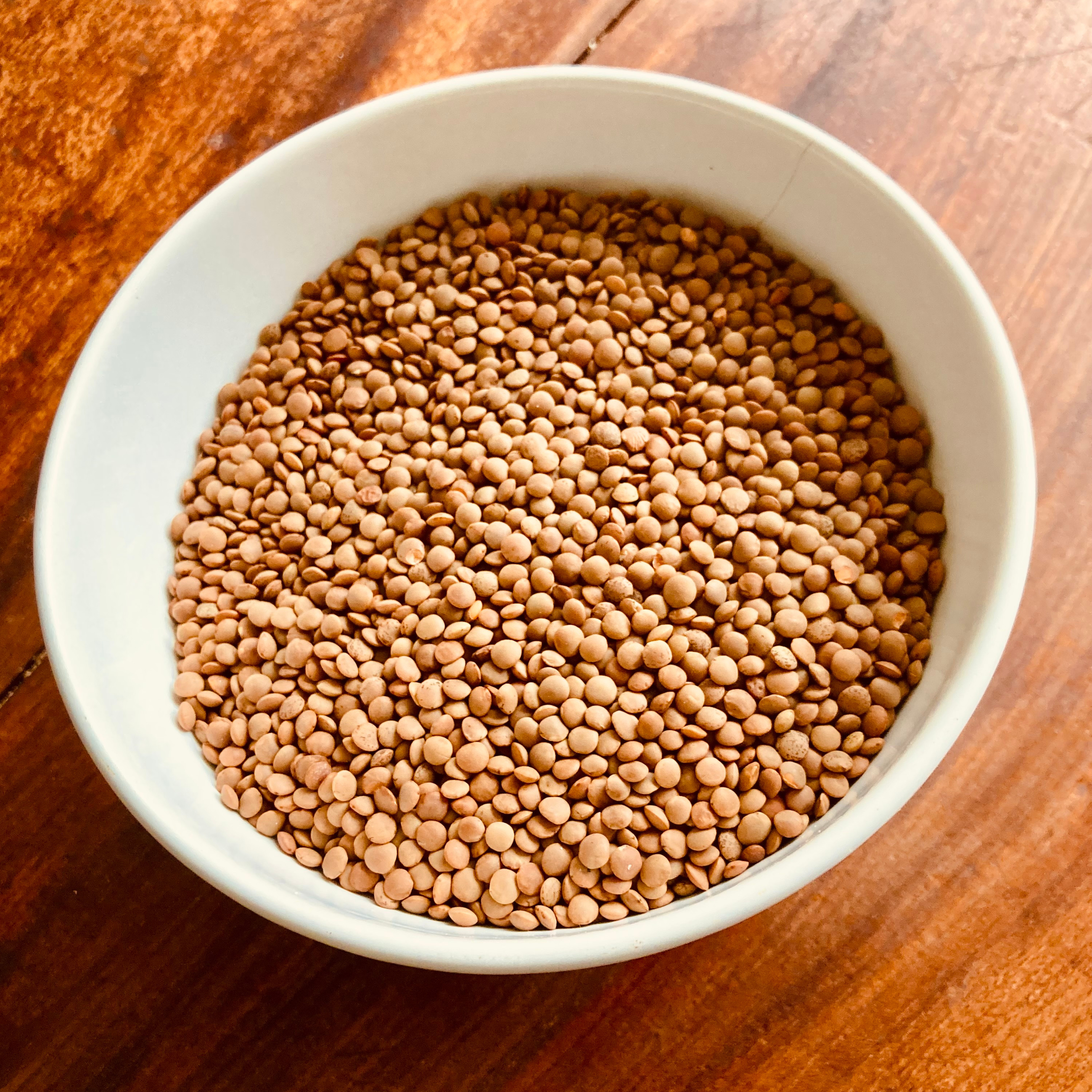 Lentillons rosés bio