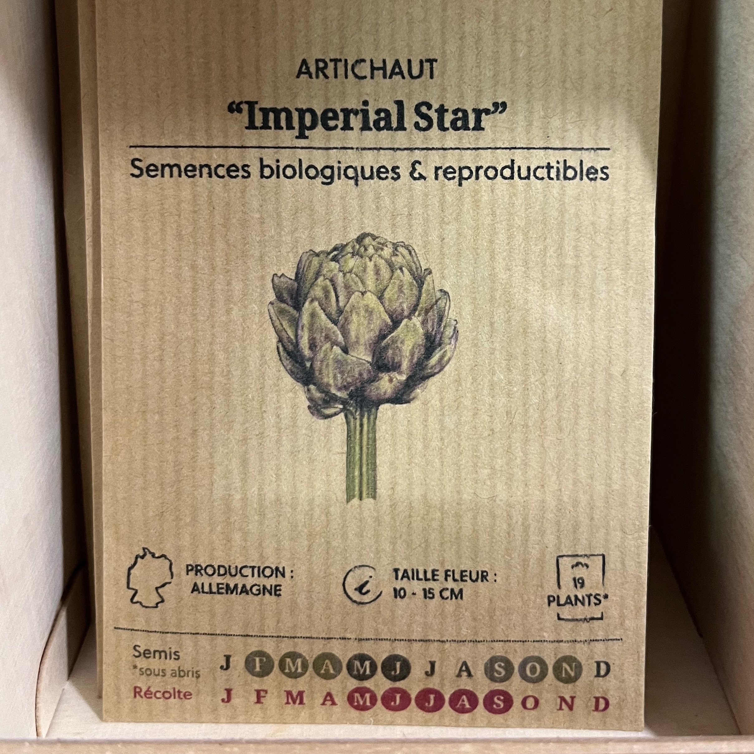 Artichaut "Imperial Star"