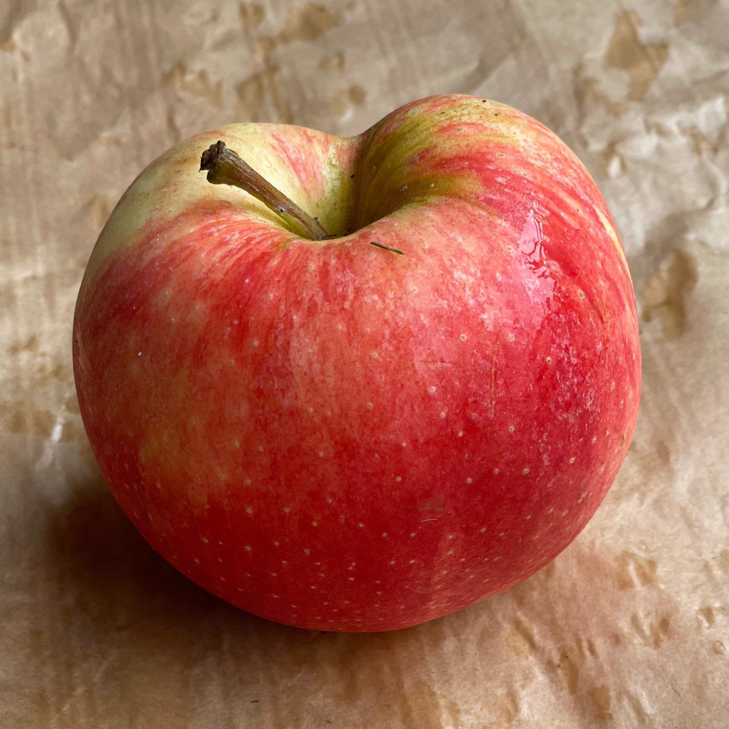 Pomme Royal Gala 1kg - 1kg