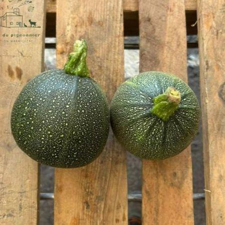 Courgettes rondes