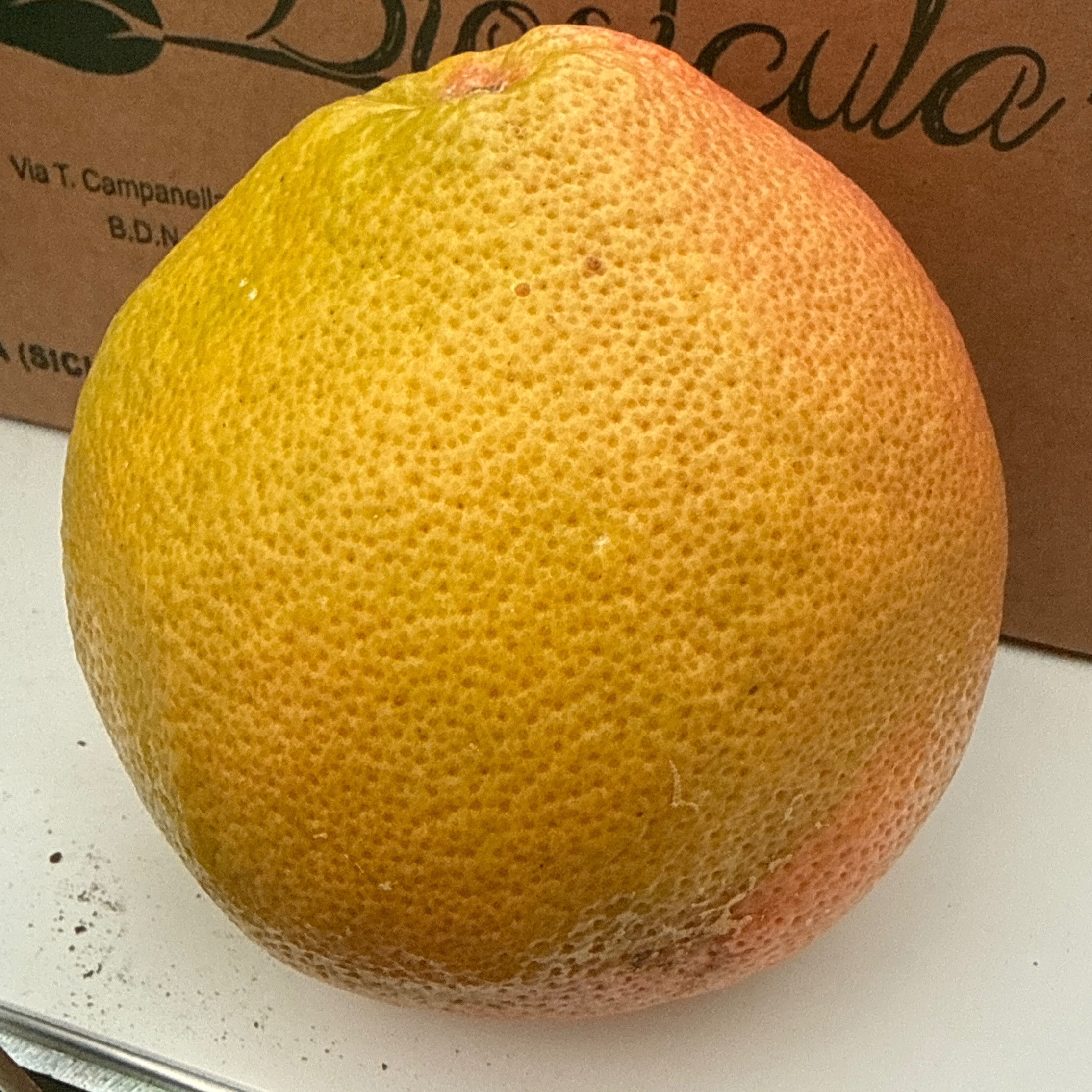 Pamplemousse rose Bio caisse 6 Kg - 6kg