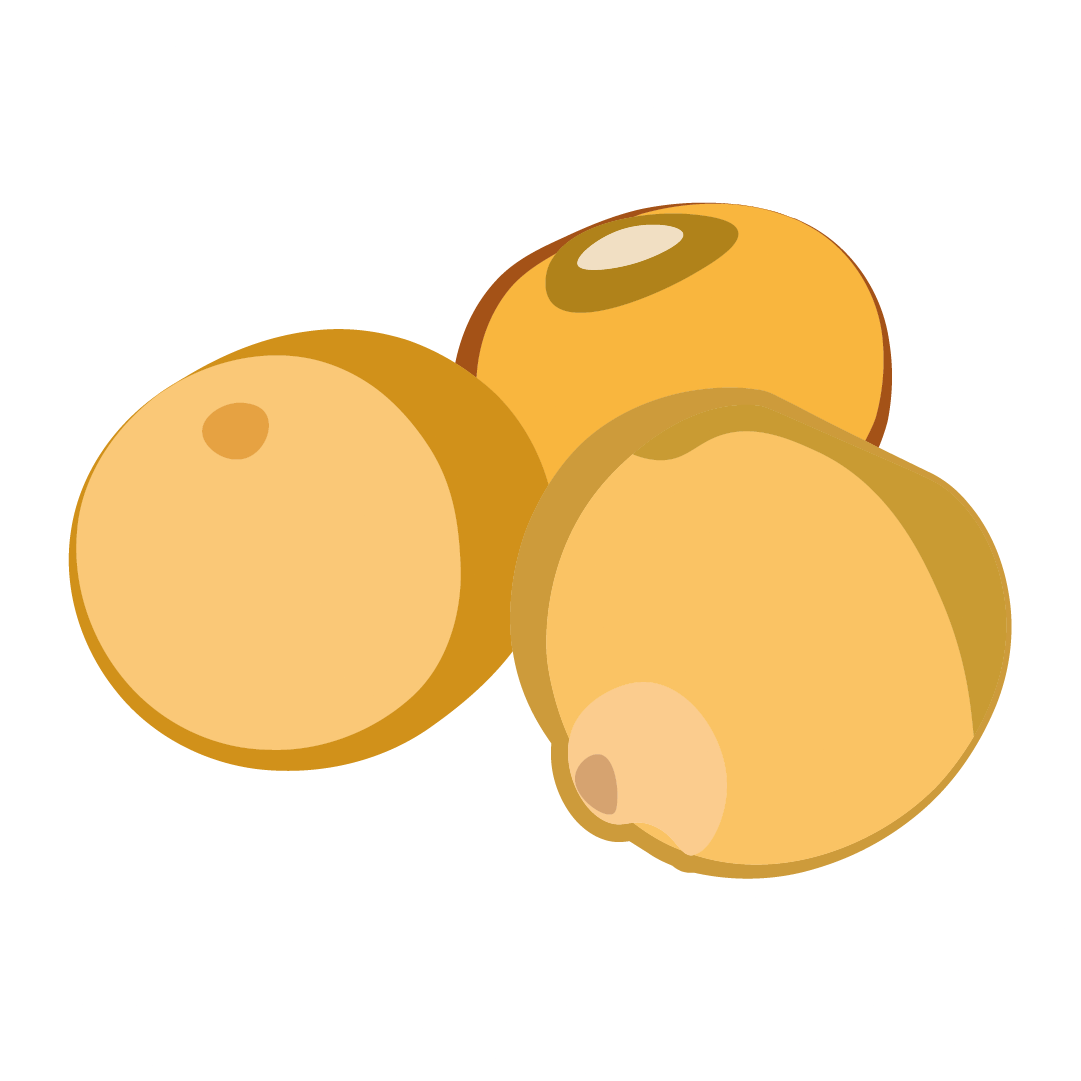 Navet jaune boule d'or