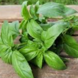 Basilic bouquet
