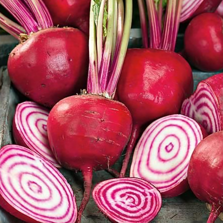 Betterave 'Chioggia' (en vrac)