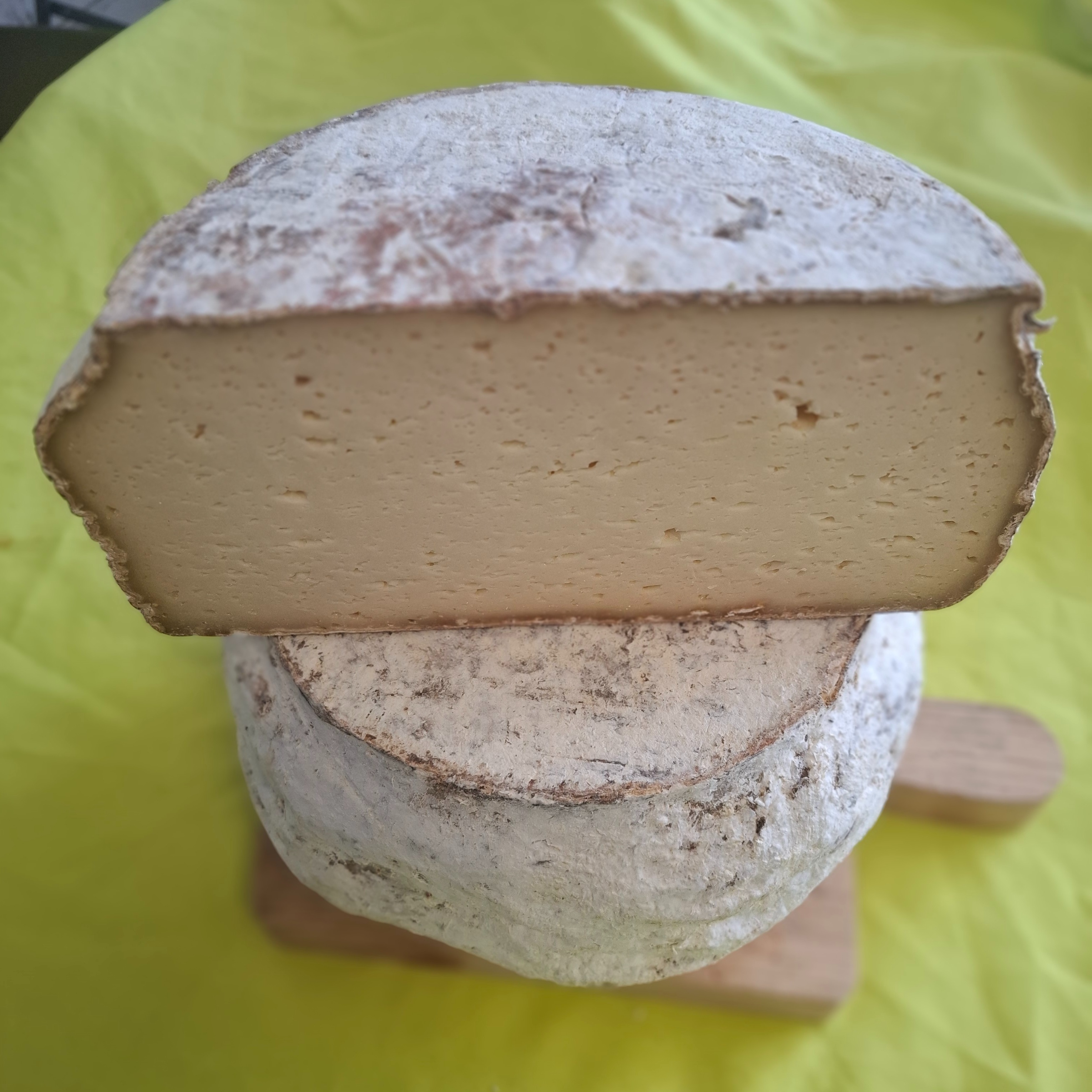 Tomme de chèvre pate pressée non cuite