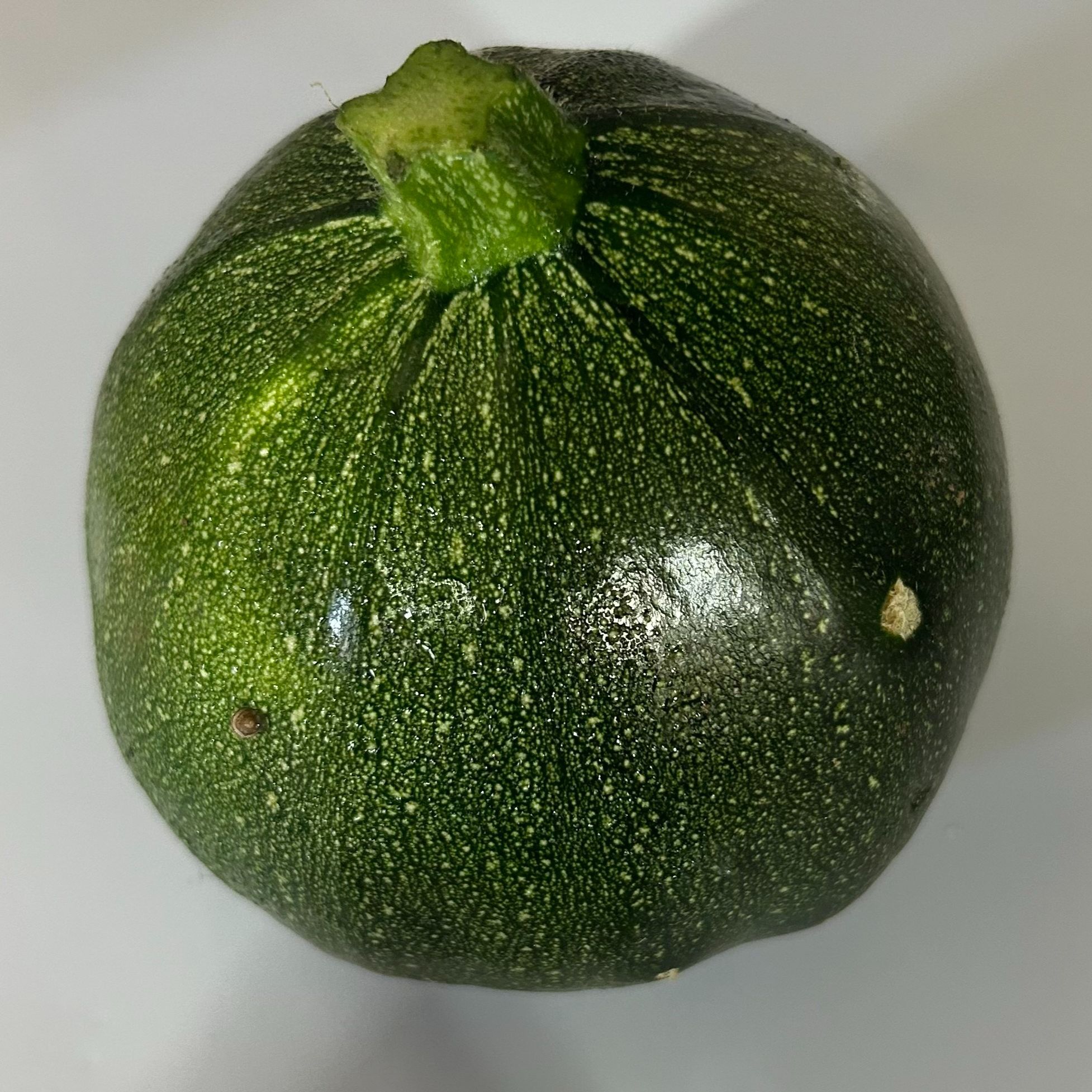 Courgette Ronde De Nice verte - 0,25kg