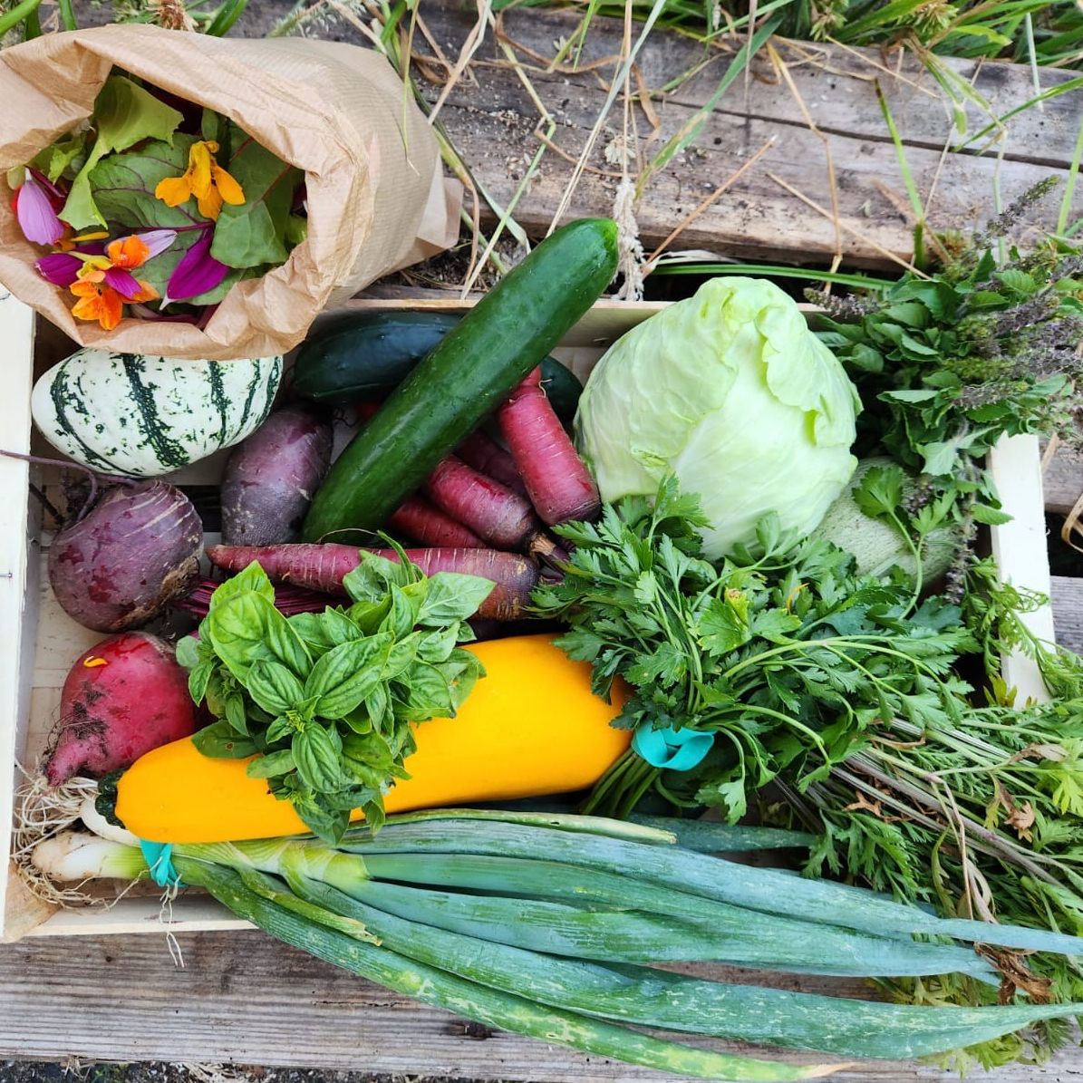 Panier de la semaine